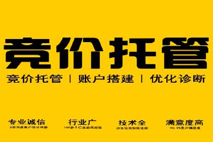 案例解析：SEM推广助力电商转化率提升